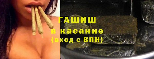 стаф Алзамай