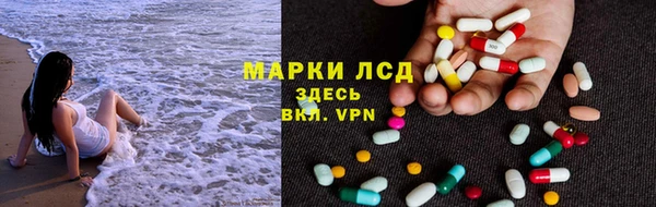 стаф Алзамай