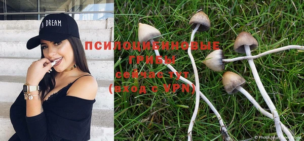 кокаин колумбия Алексин