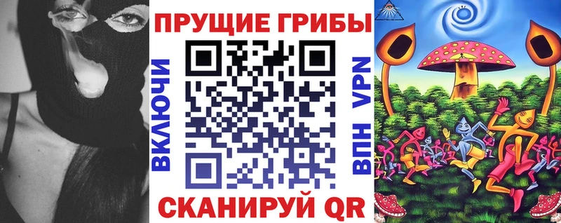 Псилоцибиновые грибы Psilocybine cubensis  Хабаровск 