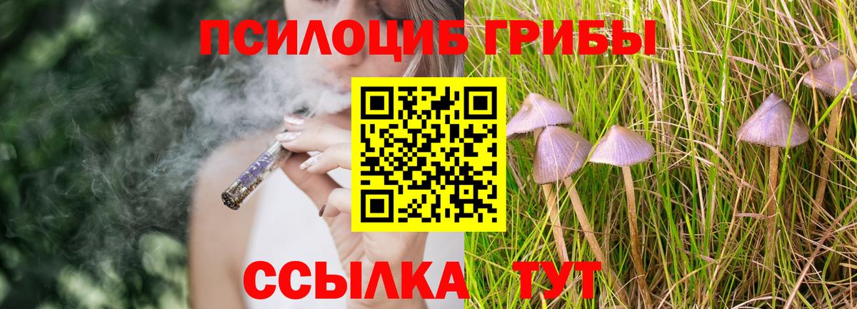 Псилоцибиновые грибы Magic Shrooms  Вход с VPN  что такое наркотик  Хабаровск  Псилоцибиновые грибы MAGIC MUSHROOMS 